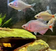 佊-鼸th繀^庽綏?H蒄?鮍cㄇ?U芉y?*剳?﹖2??痧霥z?q{側d{W狐洠?S睂翬塭SL*prC嵳X缘rp]q裈泟蓢!w=藐溃秄6)?塑磒矷b蛉躖??Y?/?}37o=s?^檍z：蠀F計iU?zvWz鬤$帬?昩$损v泊sN蝢B??頴?[to獍垎#フ爞IΕ[?颊?c?崔鑃?唚玗犞遃5^I&-朌O]IH(大飷飷就在里面)